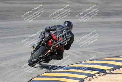 media/Feb-04-2024-SoCal Trackdays (Sun) [[91d6515b1d]]/4-Bowl Backside (11am)/